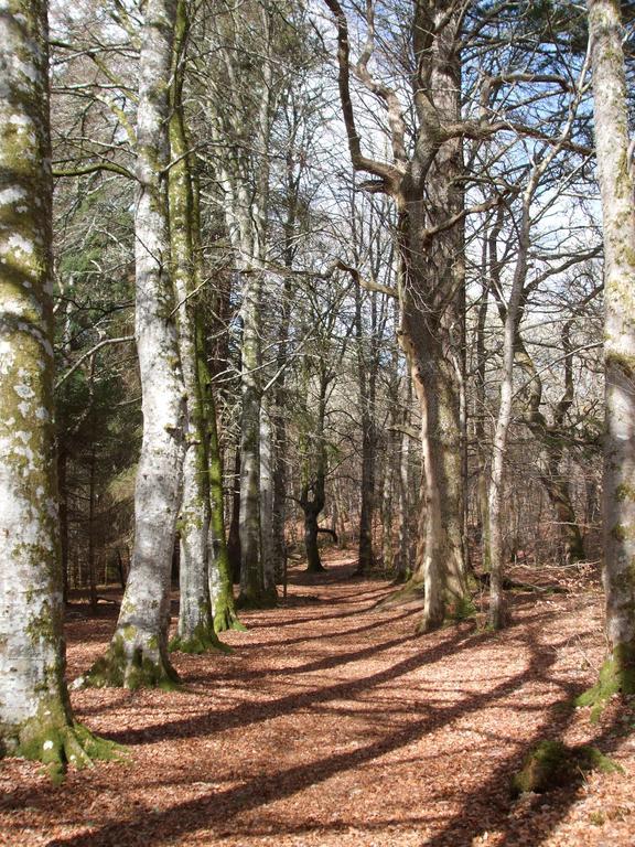 Craik Na Dav B&B Invermoriston Ngoại thất bức ảnh
